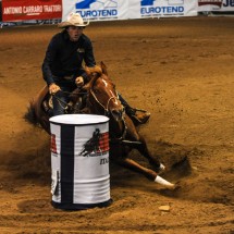 FIERACAVALLI
