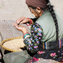 WORKING PEOPLE