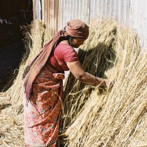 WORKING PEOPLE