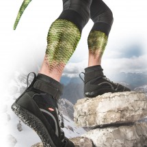 LIZARD workbook