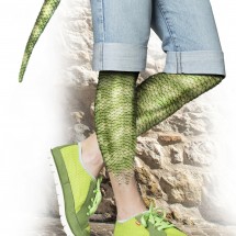 LIZARD workbook