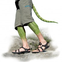 LIZARD workbook